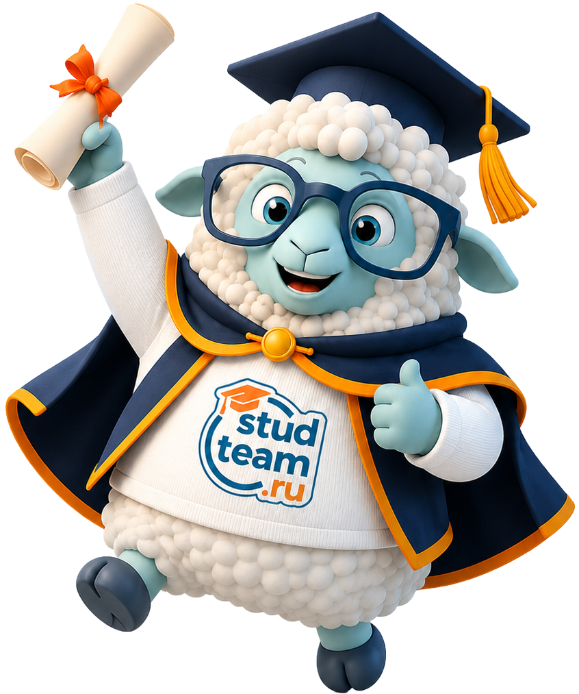 Барашек StudTeam в фирменной одежде