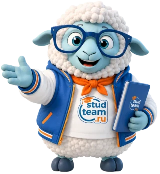 Барашек StudTeam — главная, WebP